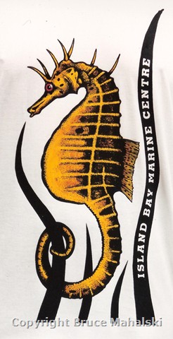 Seahorse T-Shirt